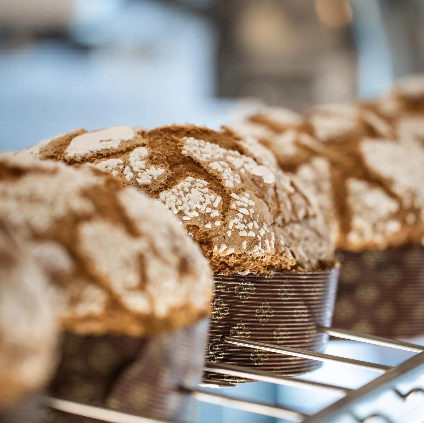 Panettoni e colombe artigianali